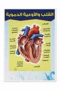 وسيلة القلب والأوعية الدمموية