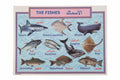 وسيلة الأسماك/The fishes