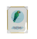 Photo or Document Frame / إطار صورة أو وثيقة