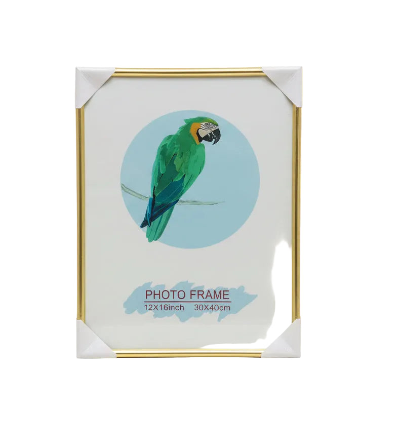 Photo or Document Frame / إطار صورة أو وثيقة