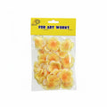 Dried flowers / زهور مجففة
