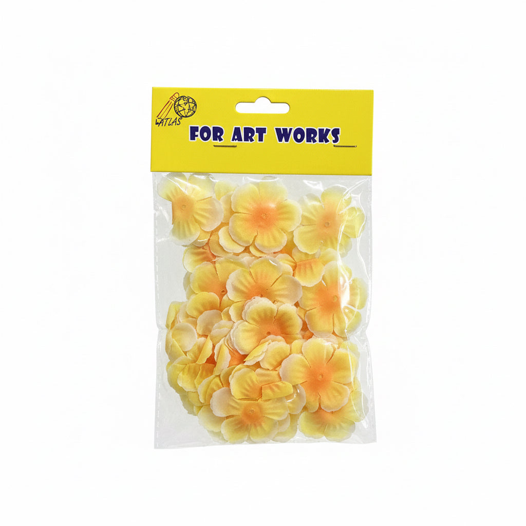Dried flowers / زهور مجففة