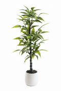 Artificial Plants / نباتات صناعية