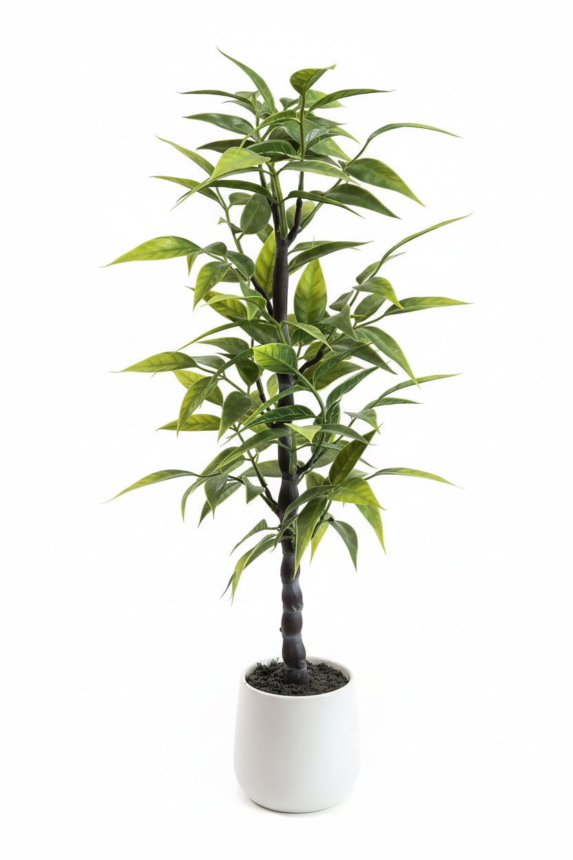 Artificial Plants / نباتات صناعية