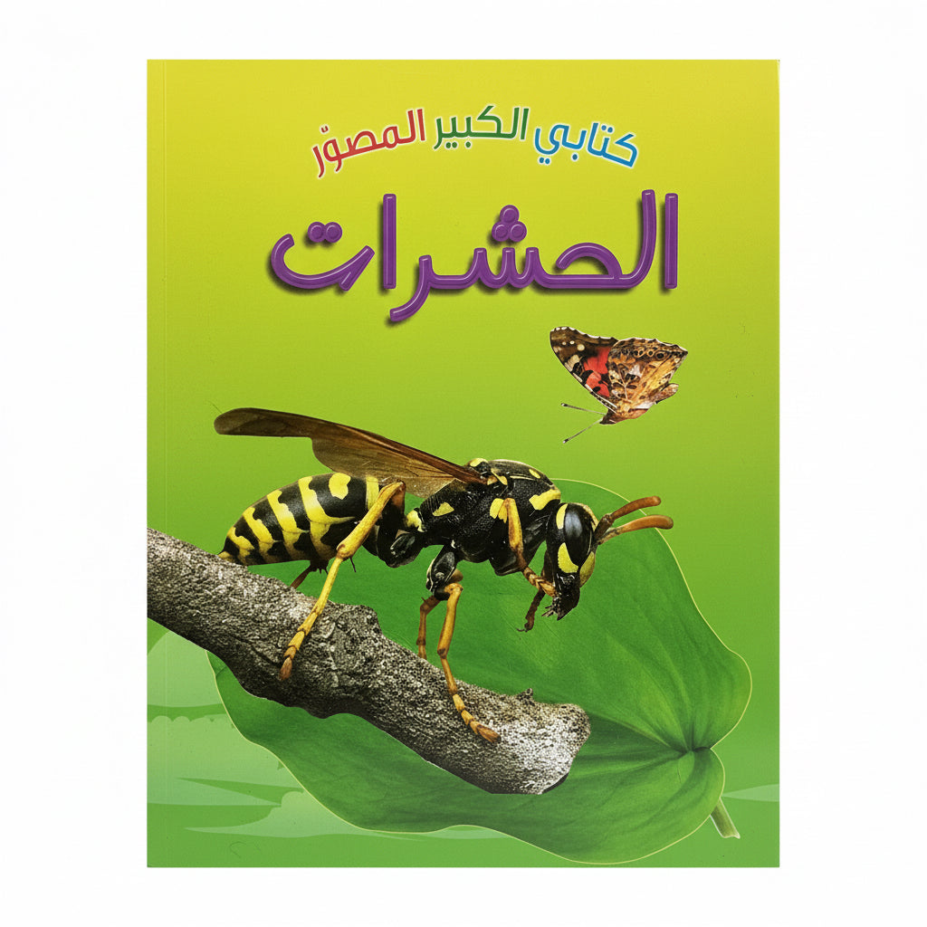 الحشرات