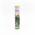 STAEDTLER 12 Noris coloured Pencils / أقلام تلوين ستدلر نوريس – 12 لونًا