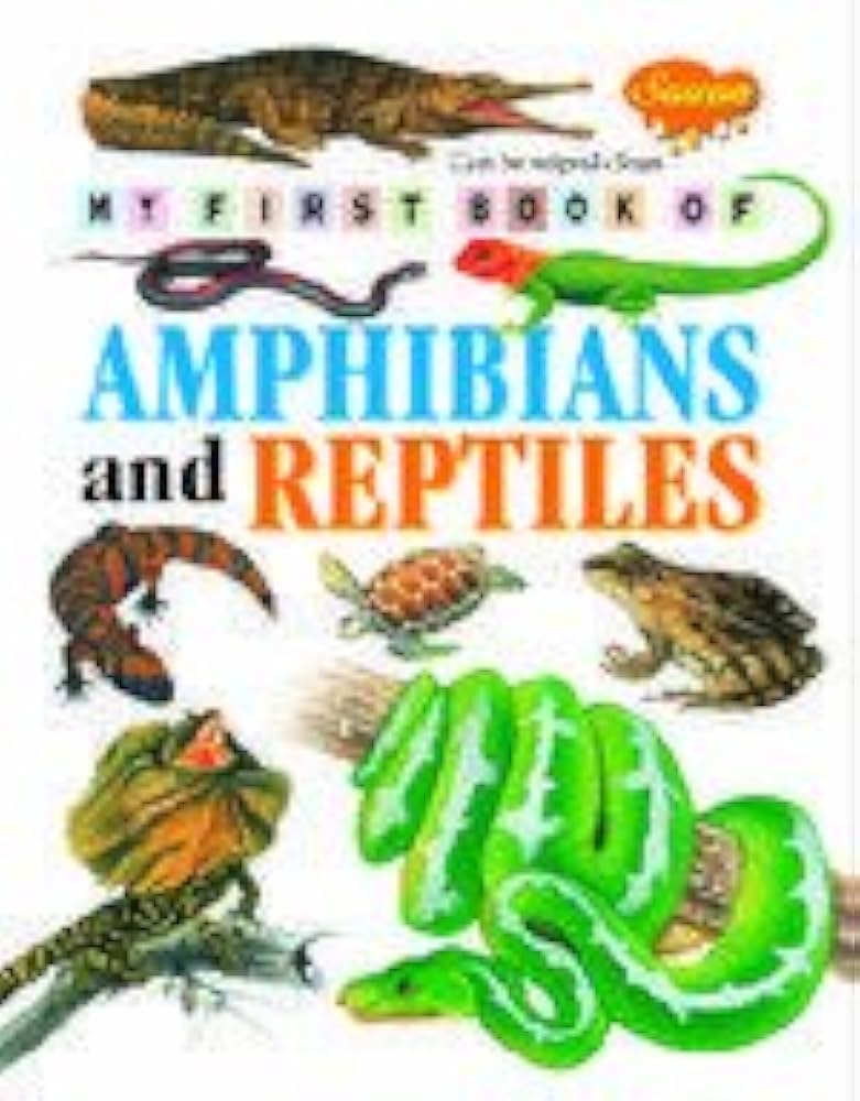My first Book of Amphibians and reptiles / كتابي الأول عن البرمائيات والزواحف