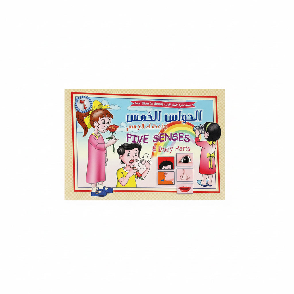 الحواس الخمس وأعضاء الجسم