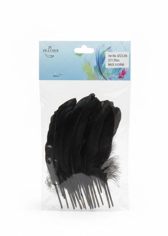 Feathers / ريش