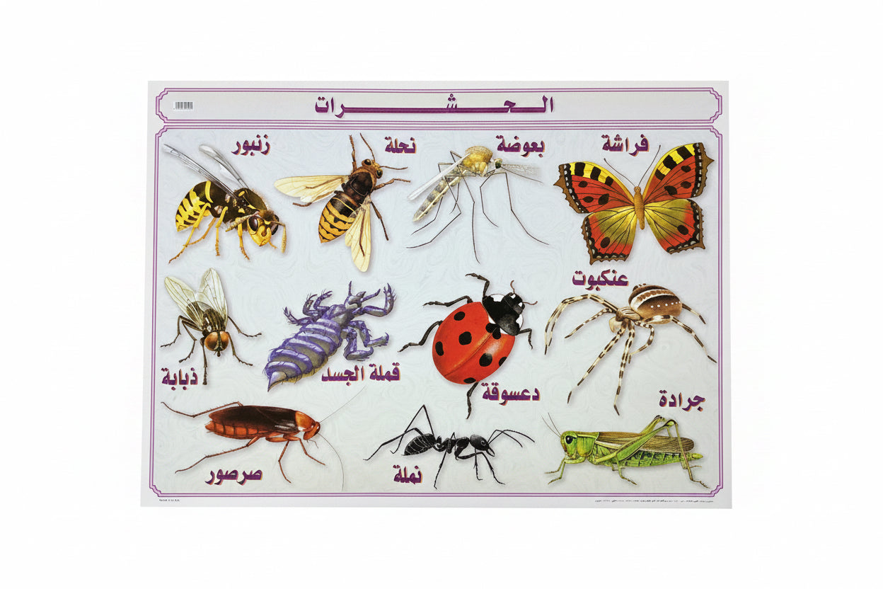 وسيلة الحشرات