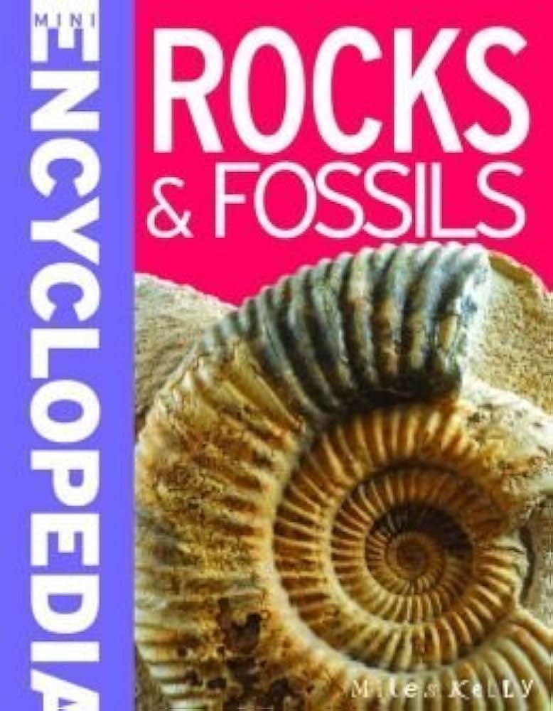 Rocks & Fossils / الصخور والأحفوريات