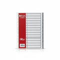 A4 PP GREY INDEX 31 PARTS / فواصل رمادية، بولي بروبيلين، مقاس A4، 31 جزءًا