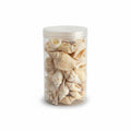 Sea Shells / أصداف بحرية