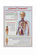 وسيلة الجهاز الدوري