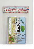 Wall Charts / لوحات حائط