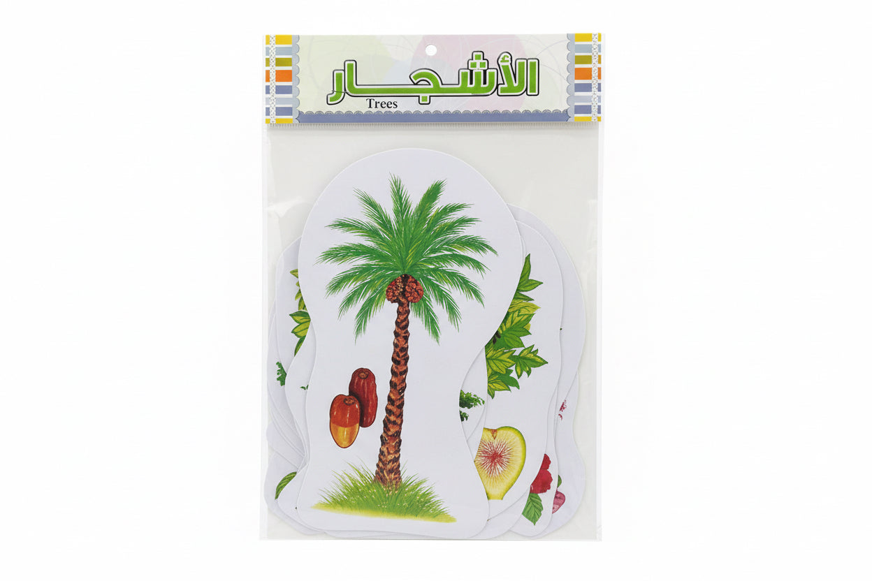 Wall Charts / لوحات حائط