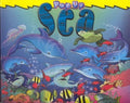 Pop-up Sea / البحر المنبثق