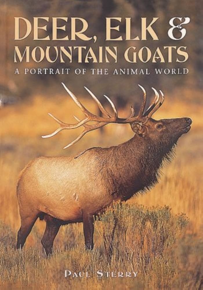 Deer, Elk & Mountain Goats / الغزلان، الأيائل والماعز الجبلي