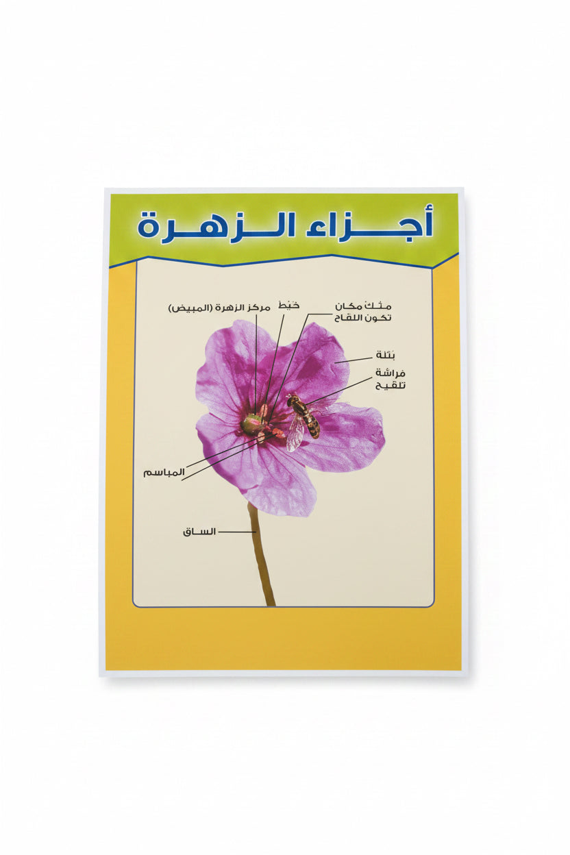وسيلة أجزاء الزهرة