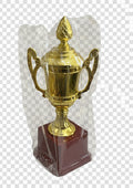 Golden Trophy / كأس ذهبي