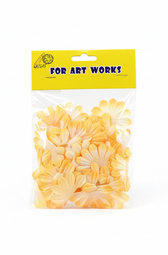 Dried flowers / زهور مجففة