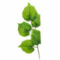 Plastic Leaf / ورقة بلاستيكية
