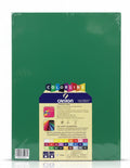 COLORLINE Canson Paper A3 150 gsm 5x / ورق كانسون كولورلاين 150 جم/م² ×5