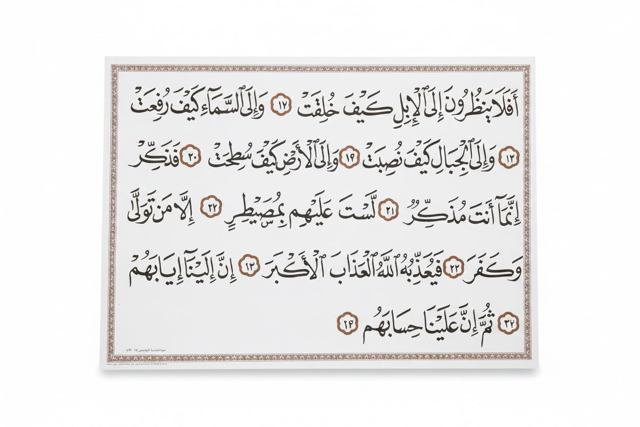 سورة الغاشية الايات من (26-17)