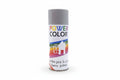 POWER COLOR Spray Paint Silver / بخاخ طلاء POWER COLOR فضي