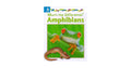 Amphibians / البرمائيات