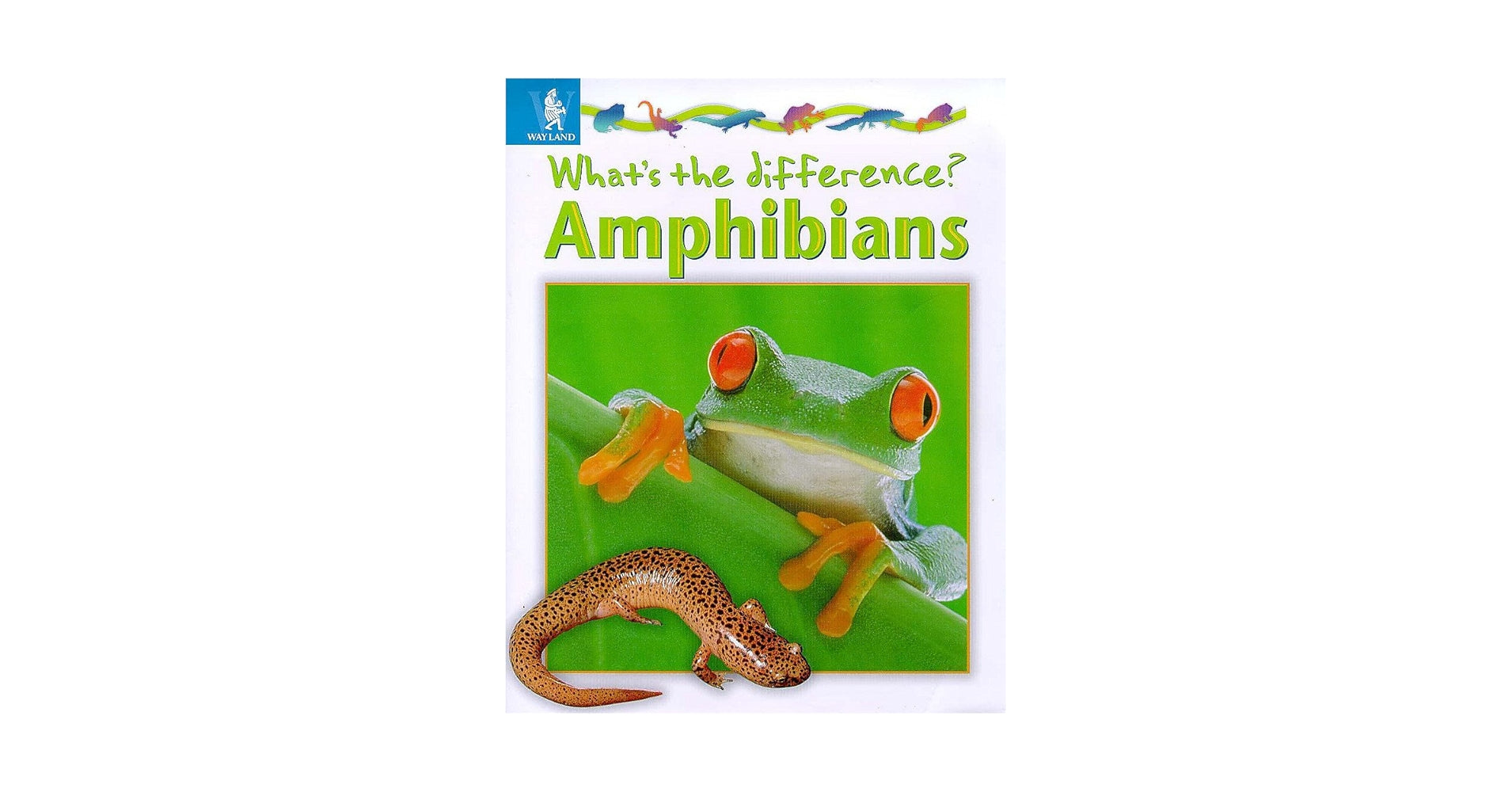 Amphibians / البرمائيات