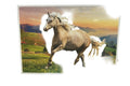 Puzzle 500 Pieces / لغز 500 قطعة