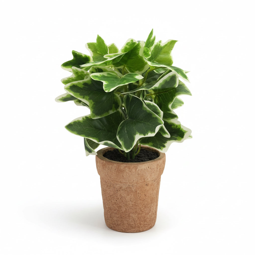 Artificial Plants / نباتات صناعية