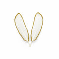 Feathers / ريش