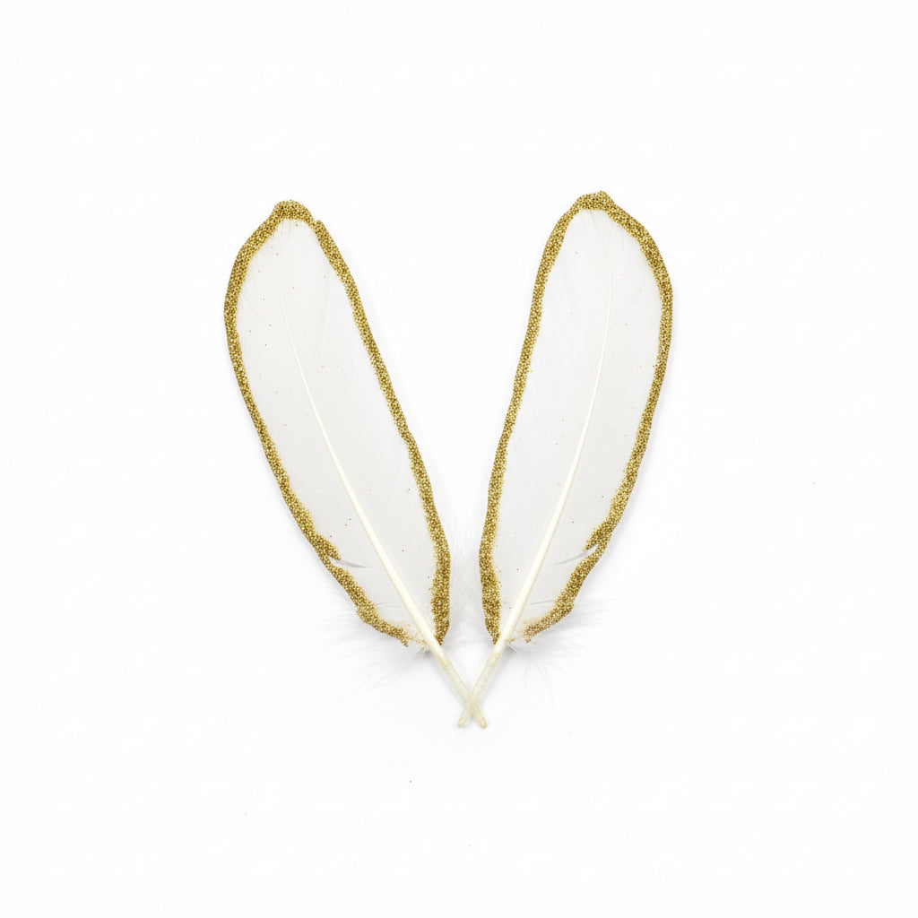 Feathers / ريش