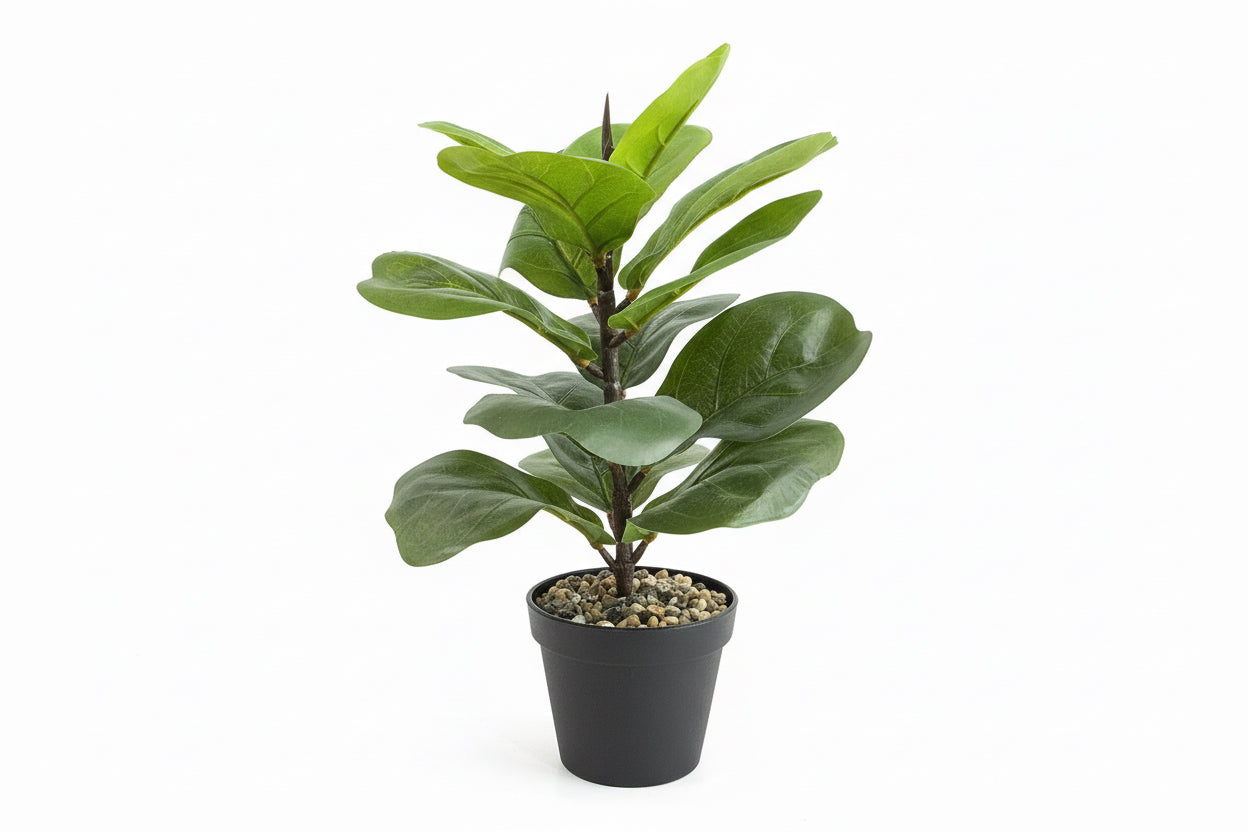 Artificial Plants / نباتات صناعية