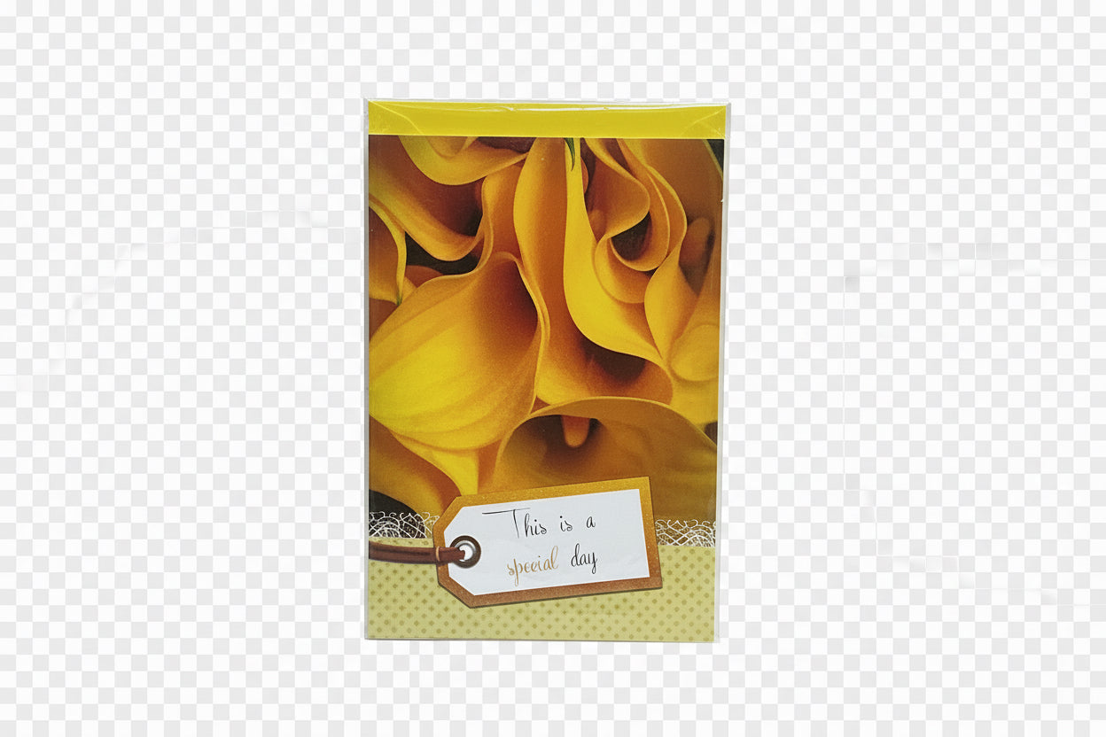 Wishing Cards / بطاقات تهنئة