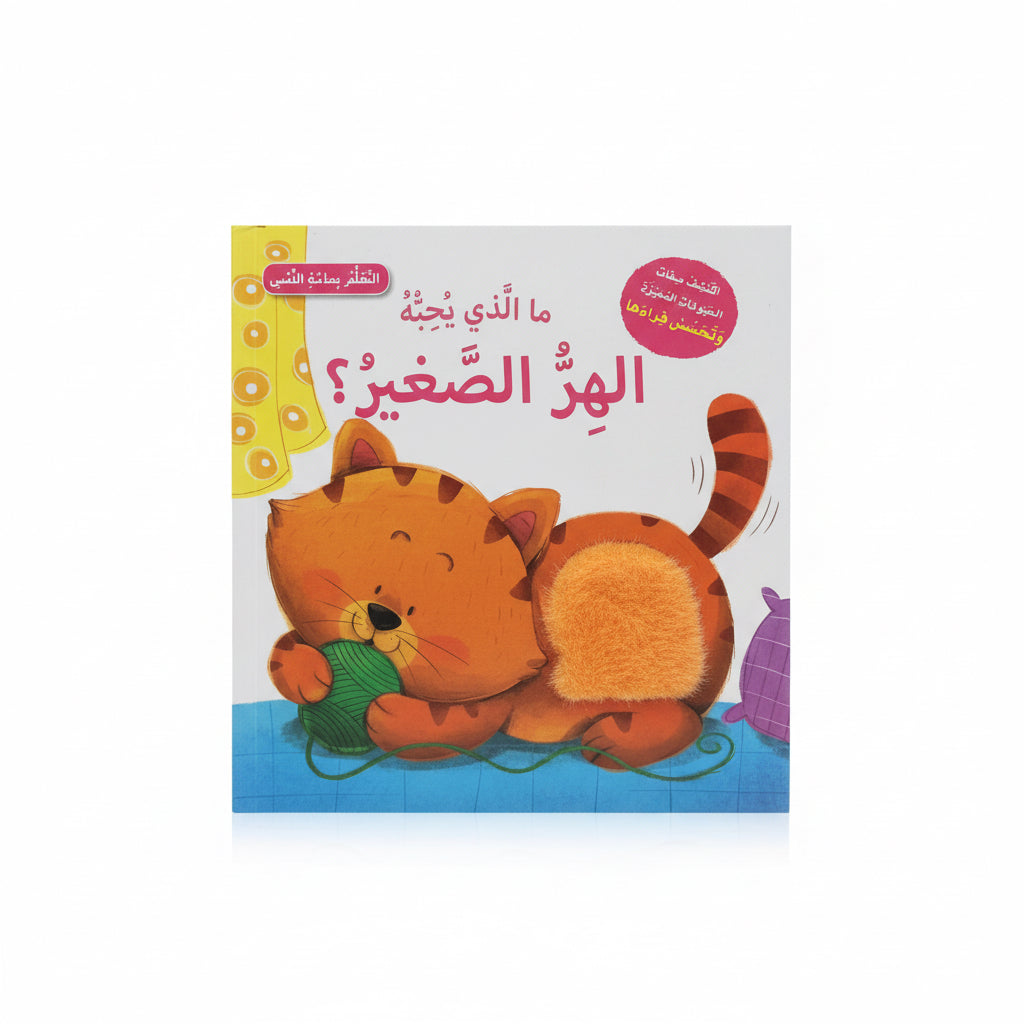 ما اللذي يحبه الهر الصغير