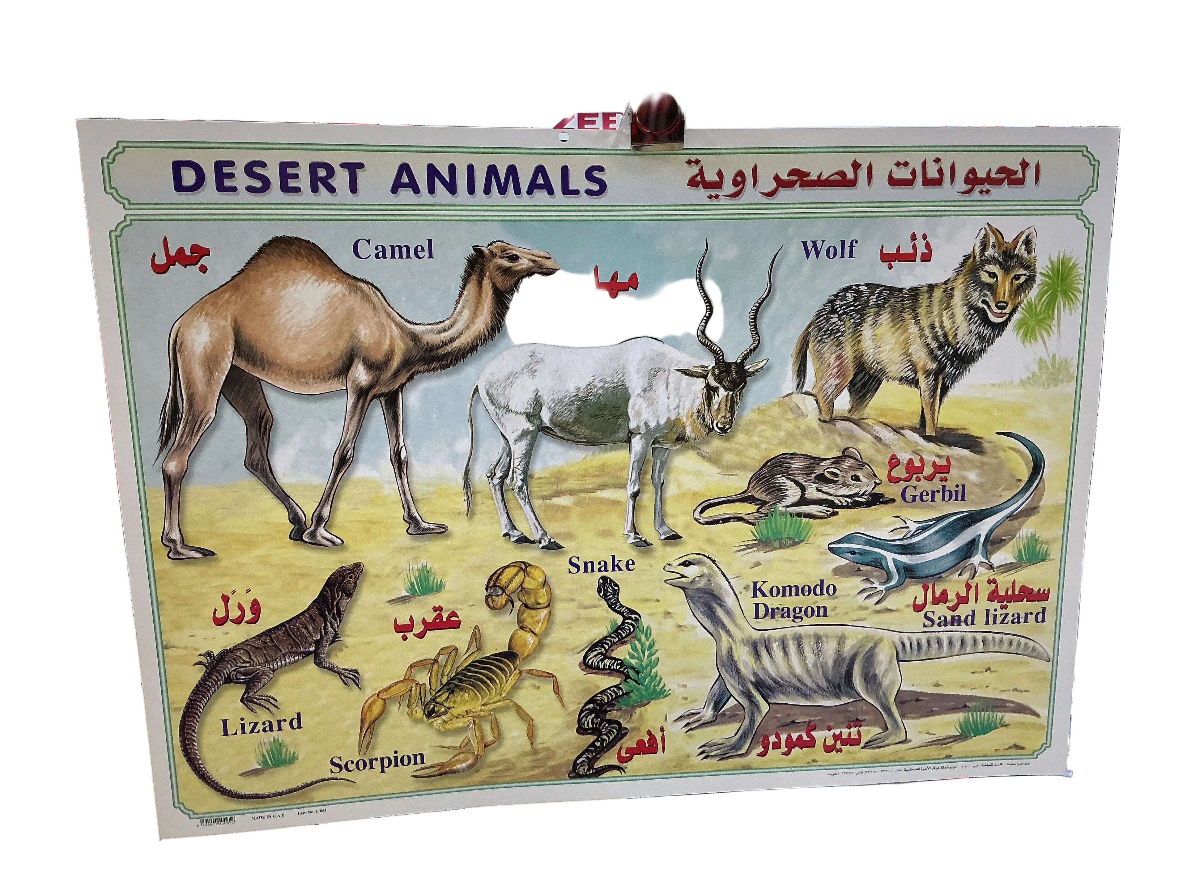 وسيلة الحيوانات الصحر اوية