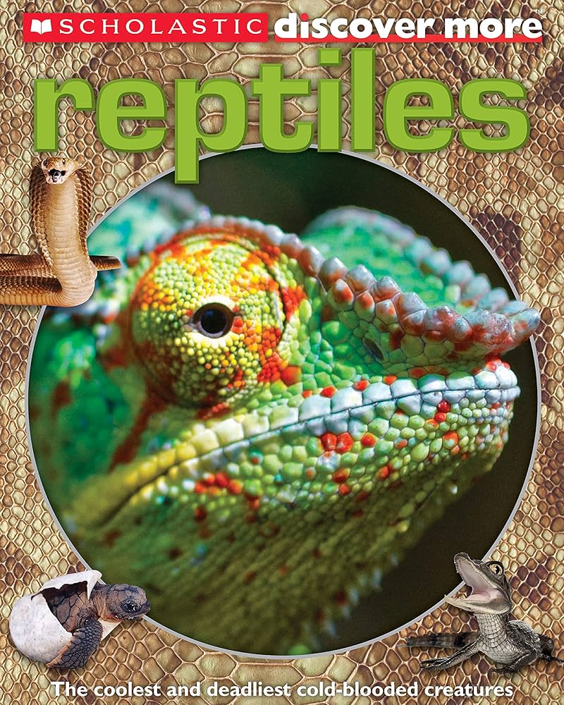 Know more reptiles / تعرّف أكثر على الزواحف