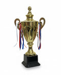 Trophy / كأس