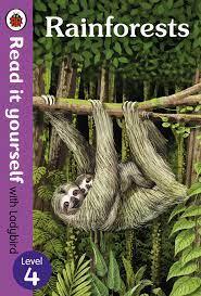 Rainforest level 4 / الغابة المطيرة (المستوى الرابع)