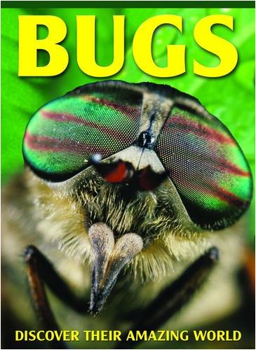 BUGS / الحشرات
