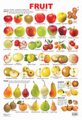 FRUIT CHART-1 (Set of 6) / لوحة الفواكه - 1 (مجموعة من 6)