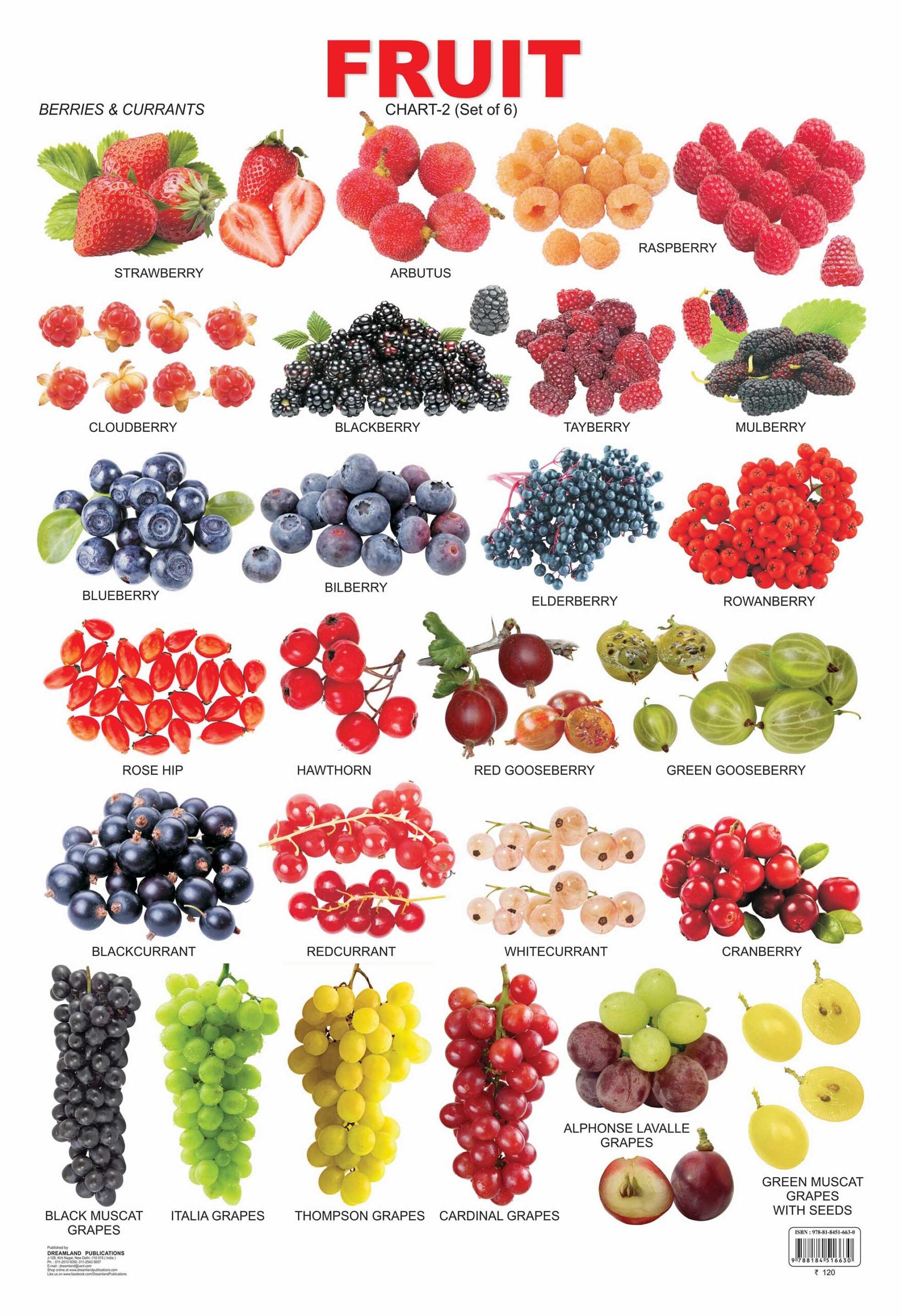 FRUIT CHART-2 (Set of 6) / لوحة الفواكه - 2 (مجموعة من 6)