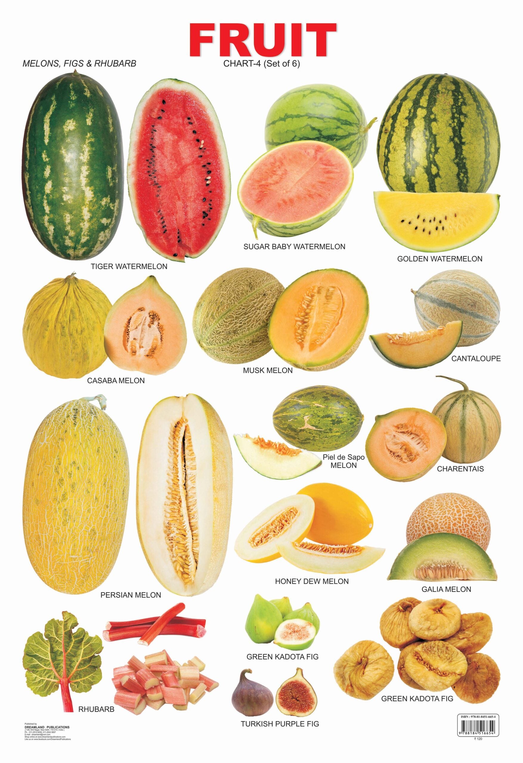 FRUIT CHART-4 (Set of 6) / لوحة الفواكه - 4 (مجموعة من 6)