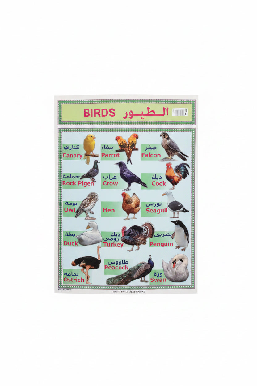 وسيلة الطيور/Birds