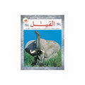 عالم الحيوانات الفيل