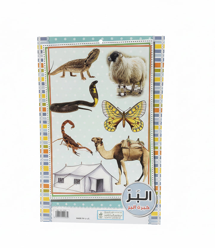 Wall Charts / لوحات حائط