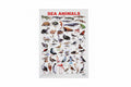 SEA ANIMALS Chart / لوحة تعليمية